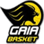 FC Gaia - Team Fc Gaia Sport