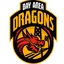 Dragones - Team Dragones Results