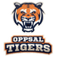 Oppsal Tigers - Live Team Oppsal Tigers