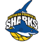 Southern Peninsula Shark Women - Team Southern Peninsula Shark Women Basketball Live