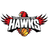 lllawarra Hawks