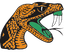 Florida A&M - Team Florida Am Sport