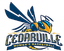 Cedarville (W) - Team Cedarville W Results