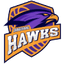 Tangerang Hawks logo