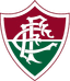 Fluminense - Team Fluminense Basketball Score