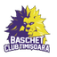 BC Timba Timisoara B - Team Bc Timba Timisoara B Basketball Live Score
