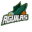 Aguilas De San Ramon - Team Aguilas De San Ramon Basketball Live Score