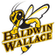 baldwin wallace university - Team Baldwin Wallace University Basketball Live
