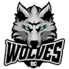 BC Wolves - Bc Wolves Vs Lietkabelis Live Basketball
