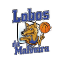 Lobos Da Malviera (W) logo - Portuguese Div W Cup Cp Natacao U W Vs Lobos Da Malviera W Schedule