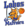 Lobos - WNBA Prediction