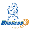 Hume City Broncos Women - Hume City Broncos Women Vs Bulleen Boomers Women Live Basketball