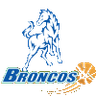 Hume City Broncos Women logo