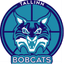 1182 Tallinn (W) - Team Tallinn W Live Basketball