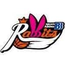 BB Albirex Niigata Rabbits Women - Womens Friendship Competition Mitsui Sumitomo Bank Women Vs Bb Albirex Niigata Rabbits Women Basketball Live Score