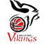 Vikings logo