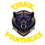 Dark Panthers - Team Dark Panthers Basketball