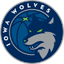 Iowa Wolves logo - NBA Games