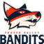 Fraser Valley Bandits - Team Fraser Valley Bandits Live Score