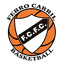 Ferro Carril Salto - Team Ferro Carril Salto Basketball Result