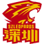 Shenzhen Leopards U21 - Team Shenzhen Leopards U Result