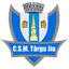ACS Targu Jiu logo