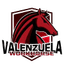 Valenzuela Workhorses - Team Valenzuela Workhorses Live Score