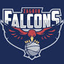 Falcons Zagreb (W) - Team Falcons Zagreb W Basketball Score