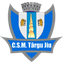 ACS Targu Jiu - Live Team Acs Targu Jiu