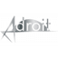 Adroit Sports Association - Team Adroit Sports Association Basketball Score
