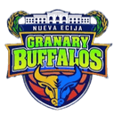 Nueva Ecija Granary Buffalos - Nueva Ecija Granary Buffalos Vs Camarines Sur Express Live Score
