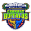 Nueva Ecija Granary Buffalos logo