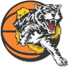 Willetton Tigers Women logo