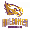 Halcones Xalapa - Halcones Xalapa Vs Astros De Jalisco Schedule
