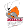 Eastern Mavericks logo
