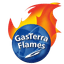 GasTerra Flames Groningen - Team Gasterra Flames Groningen Live Score Today