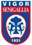 Senigallia - Team Senigallia Live Score