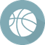 BC Sharks logo