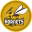 Harris-Stowe State Women - Team Harrisstowe State Women Basketball Live Score