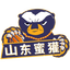 Shandong Honey Badger - Team Shandong Honey Badger Scores