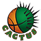 Cactus Tbilisi - Team Cactus Tbilisi Basketball Live Score