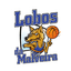 Lobos de Malveira U21 - Team Lobos De Malveira U Live Score