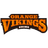 Ehime Orange Vikings - B Sport