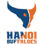 Ha Noi Women logo