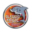 Mamy Oleggio - Team Mamy Oleggio Basketball Result