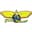 Starwings Basket Regio Basel