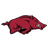 Arkansas logo