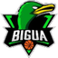 El Bigua W - Team El Bigua W Sport