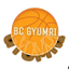 Gyumri Women - Team Gyumri Women Schedule