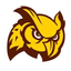 Rowan University - Team Rowan University Live Score Today